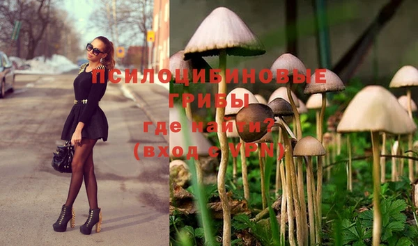 дурь Аркадак